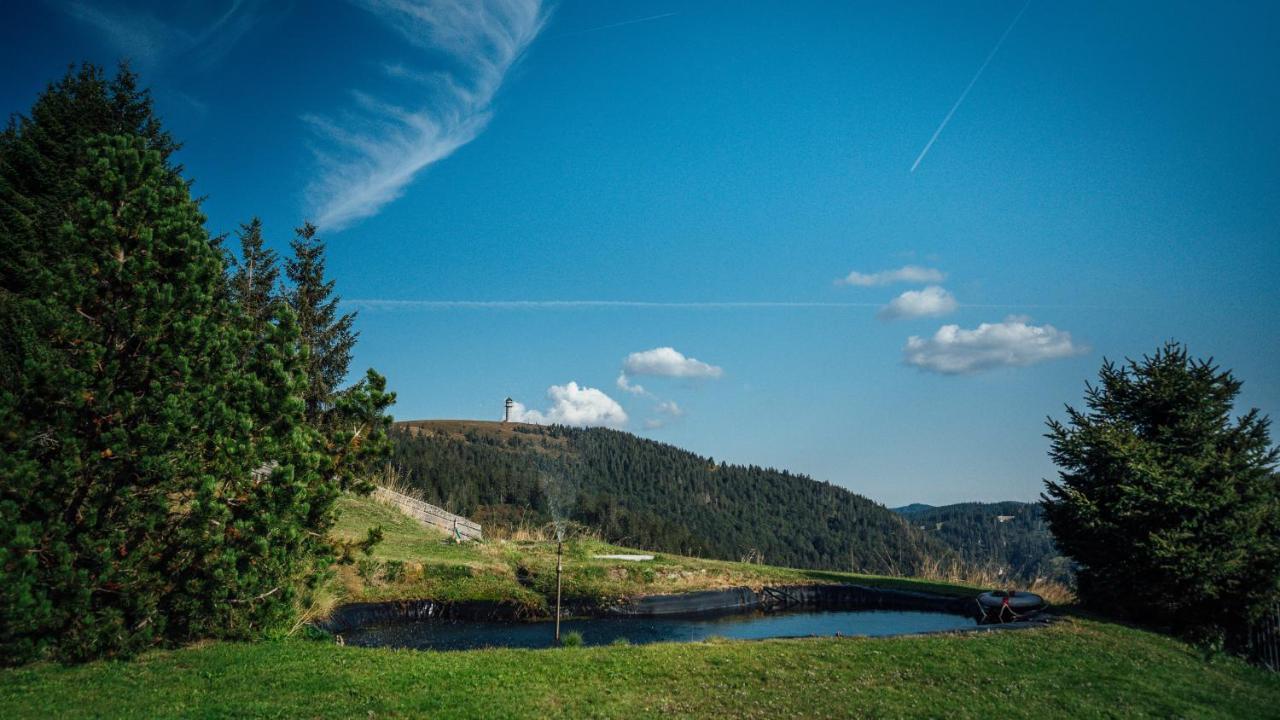 Berggasthof Zur Todtnauer Huette Фельдберг Экстерьер фото