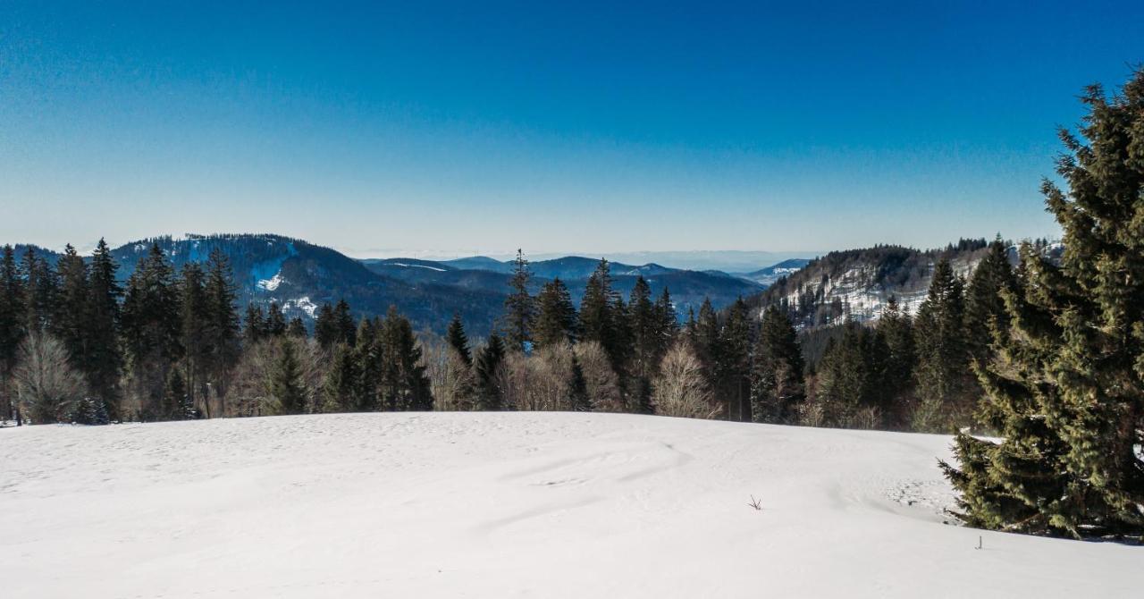 Berggasthof Zur Todtnauer Huette Фельдберг Экстерьер фото