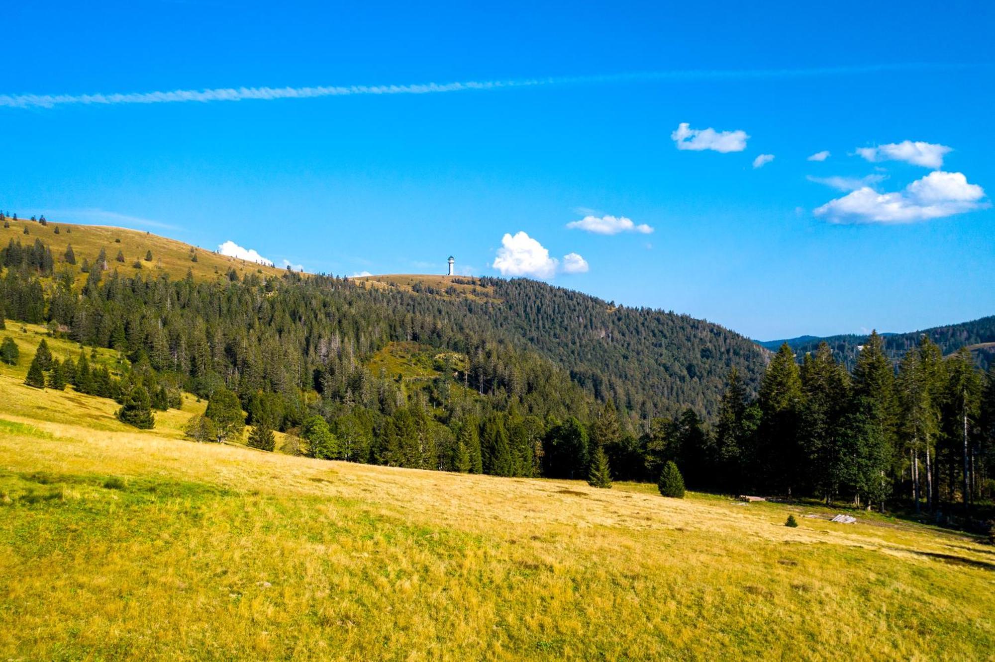 Berggasthof Zur Todtnauer Huette Фельдберг Экстерьер фото